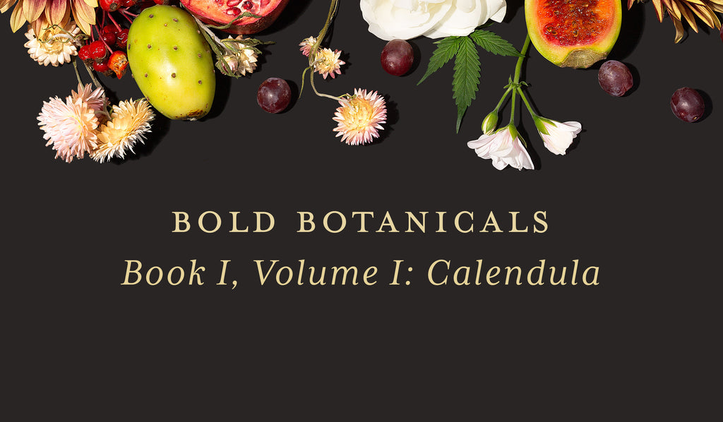 Why We Love Calendula to Calm the Skin