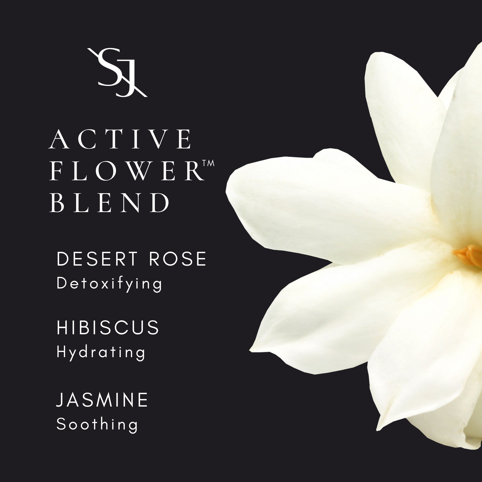 Sun Ritual Mineral SPF30 - Pore Smoothing Sunscreen – SAINT JANE